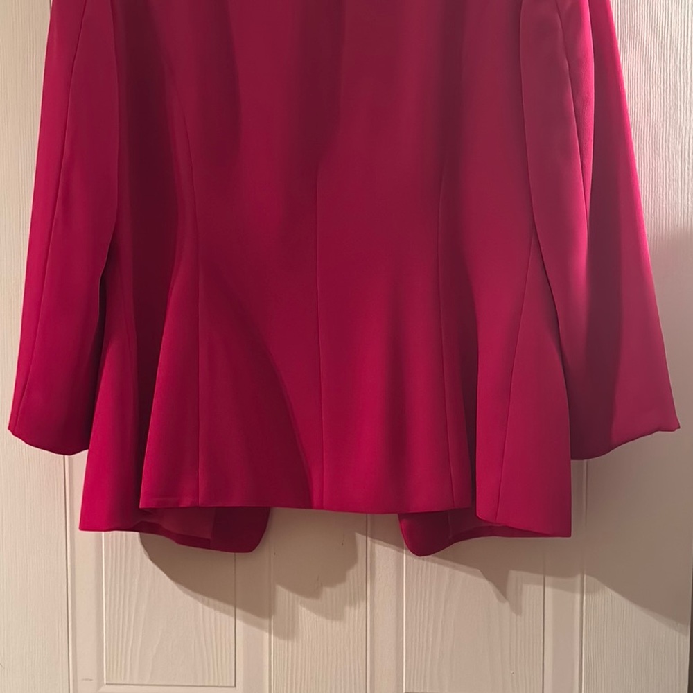 Pink Blazer - Picture 6 of 7